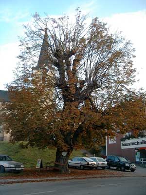 Schlo&szlig; Gallspach