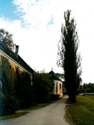 Schlo&szlig; Marbach