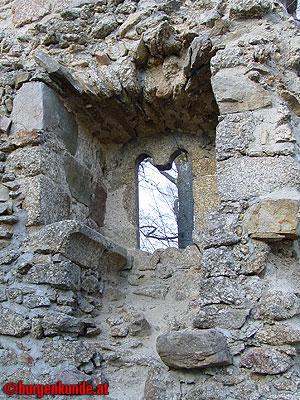 Burgruine Ruttenstein / Ober&ouml;sterreich