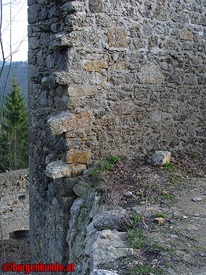 Burgruine Ruttenstein / Ober&ouml;sterreich