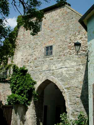 Burg Sch&auml;rding