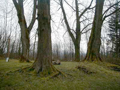 Schlo&szlig; Starhemberg