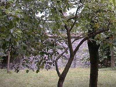 Schlo&szlig; Unterhaus