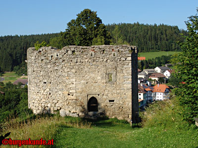 Ruine Waxenberg / Ober&ouml;sterreich