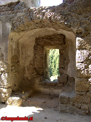 Ruine Windhaag / Ober&ouml;sterreich