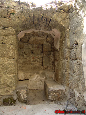 Ruine Windhaag / Ober&ouml;sterreich