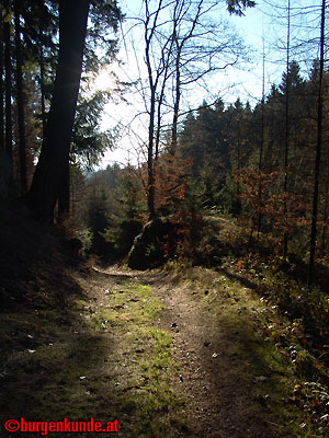 Ruine Windhaag / Ober&ouml;sterreich